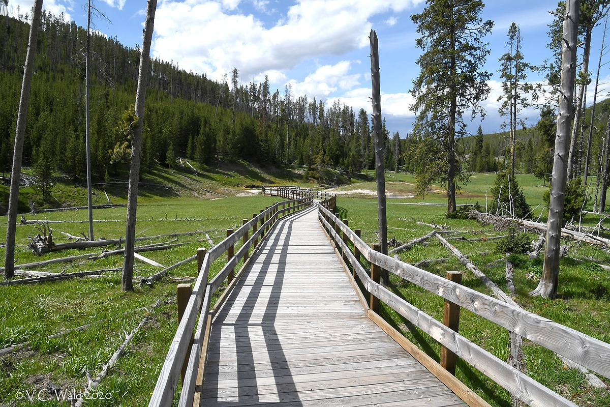 Clearwater Springs Natural Atlas