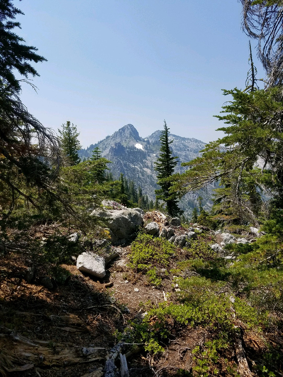 Tracy Trail Natural Atlas