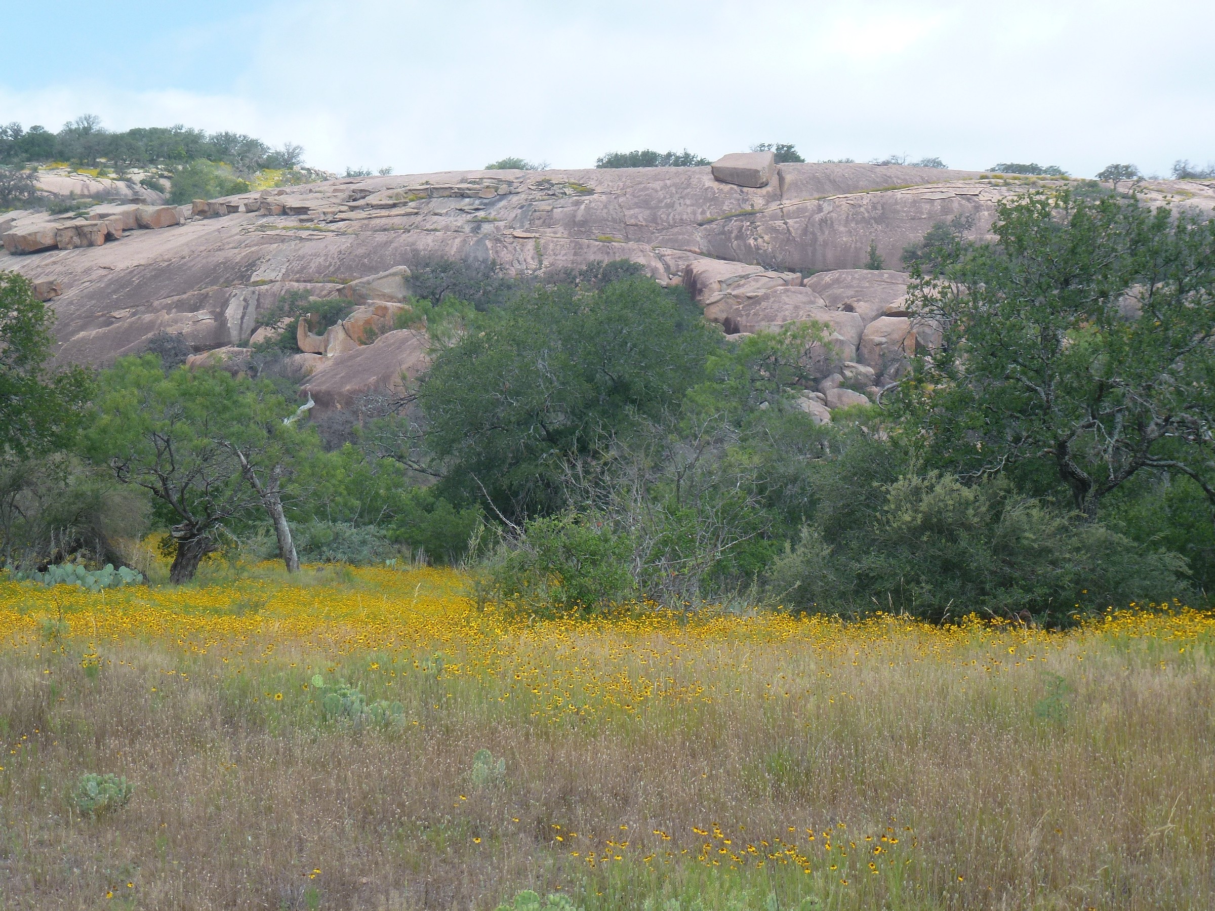 Enchanted Rock State Natural Area Map, TX Natural Atlas