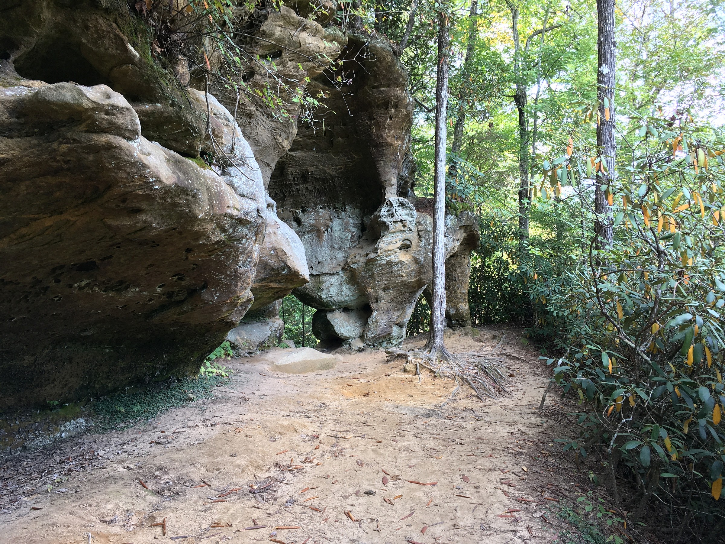 Angel Windows Trailhead Natural Atlas