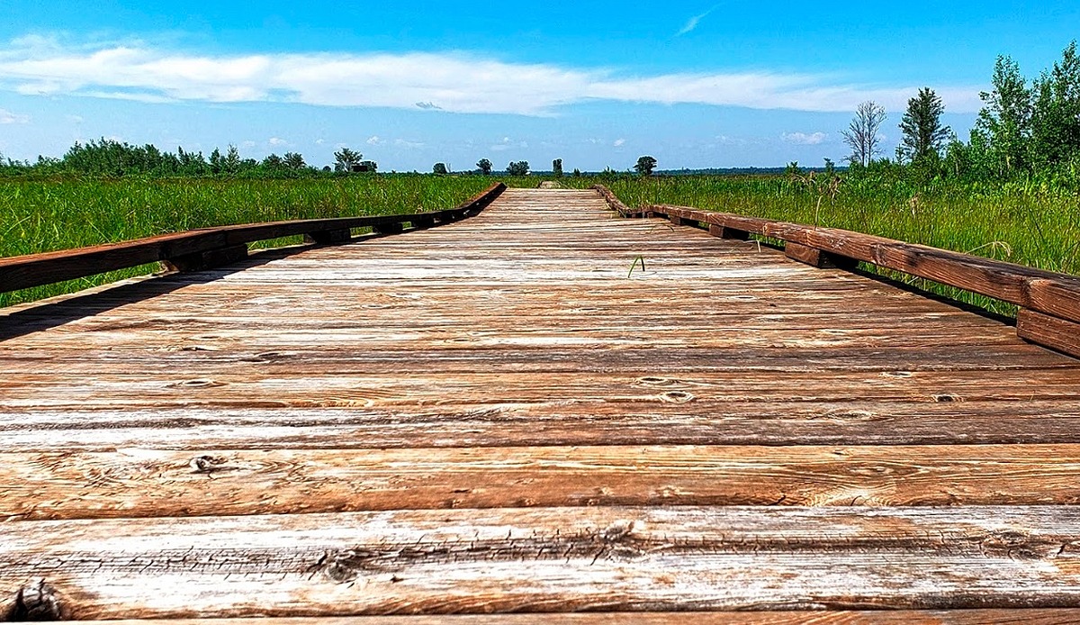 Necedah National Wildlife Refuge Map, WI Natural Atlas