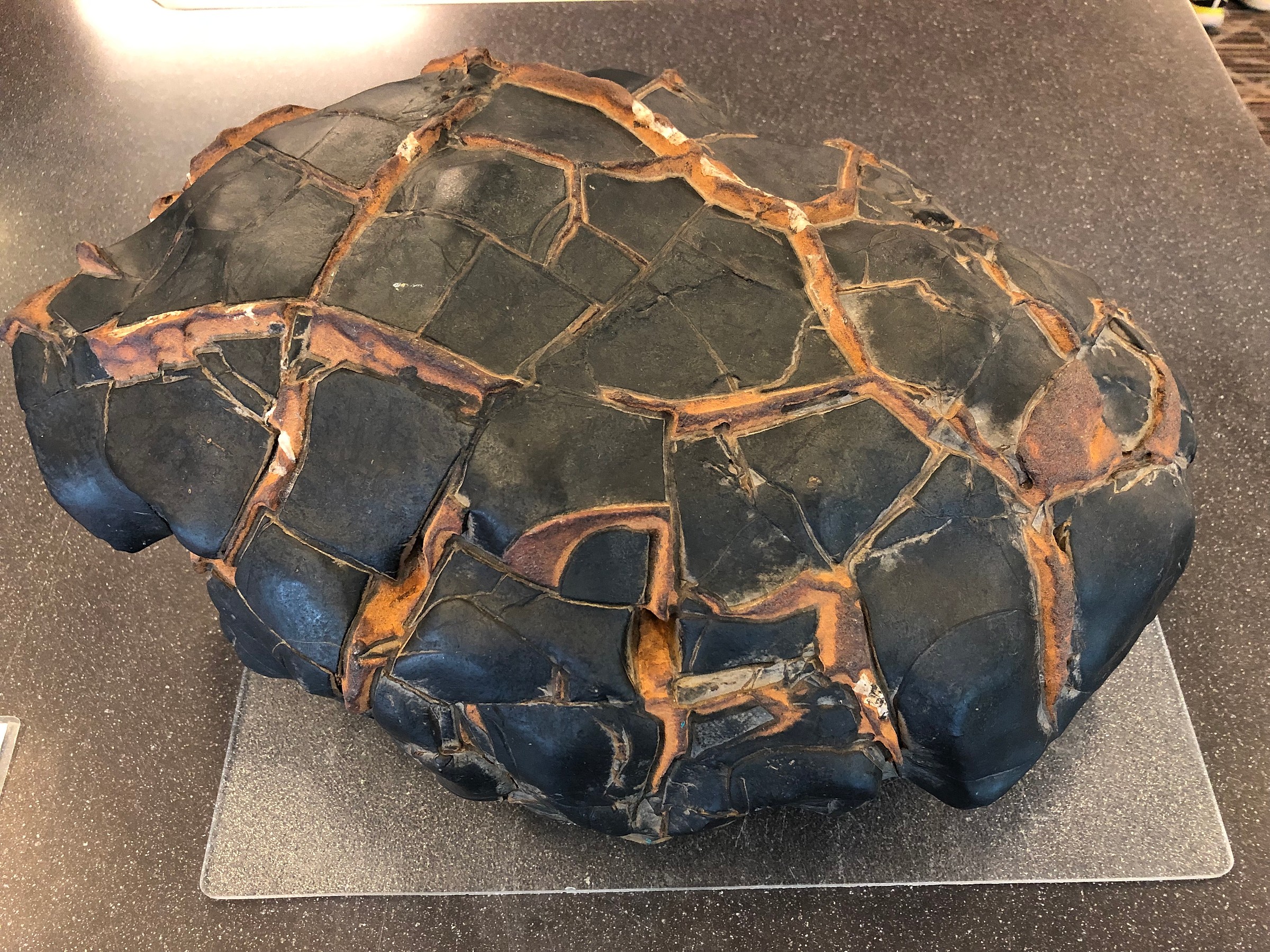 w-means × noroll concretion w-means × noroll concretion CONCRETIONS AND NODULES IN NORTH